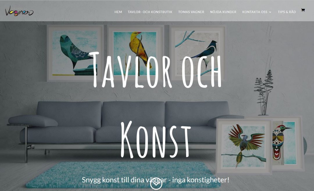 website design in Adelaide