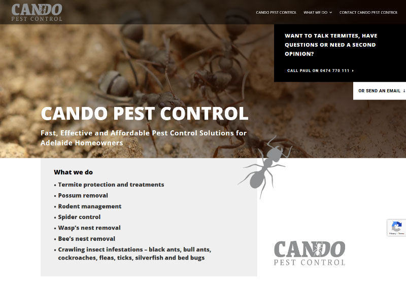 Website design for pest control business in Adelaide