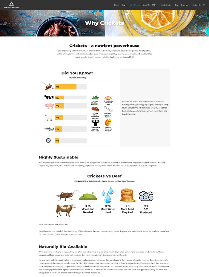 website design shop order woocommerce wordpress website design shop order woocommerce wordpress